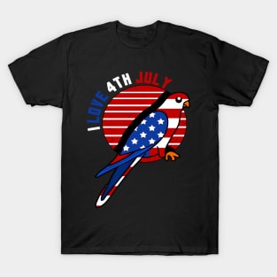 America Shirt 4th of July Patriotic T-shirt holiday T-Shirt